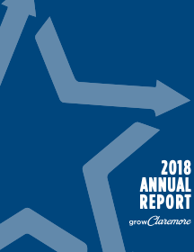 CIEDA 2018 Annual Report