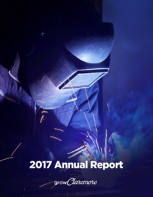CIEDA 2017 Annual Report